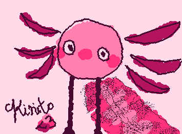 kinito pet!!!!